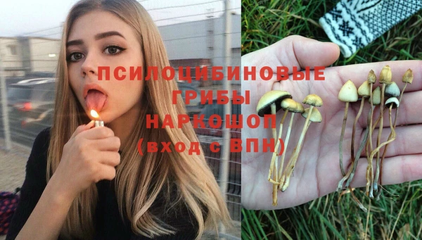МДПВ Нея