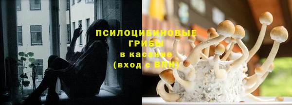 Альфа ПВП Нефтекумск