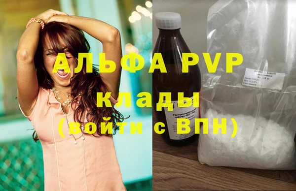 МДПВ Нея