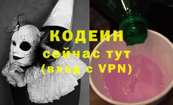 МДПВ Нея