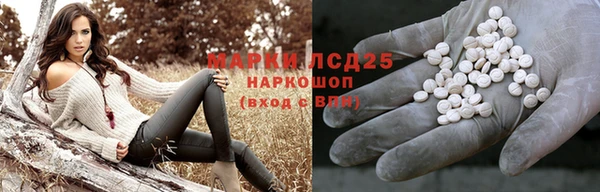 МДПВ Нея