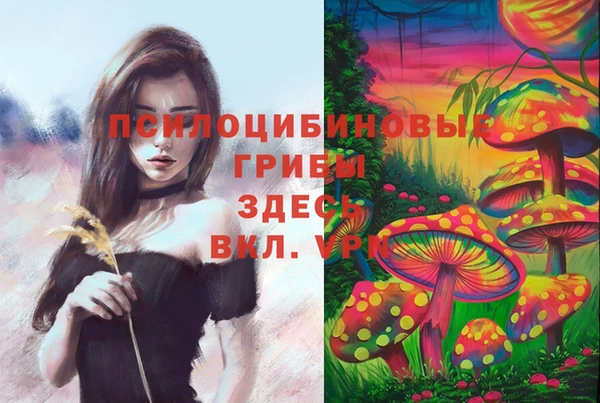 бошки Комсомольск