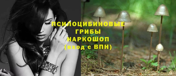 Альфа ПВП Нефтекумск