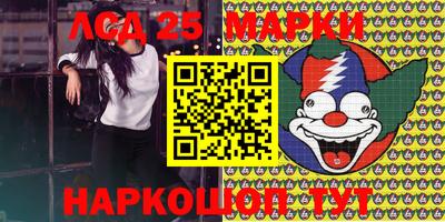 твердый Бийск