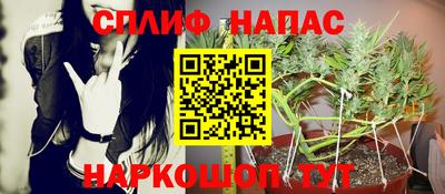 твердый Бийск