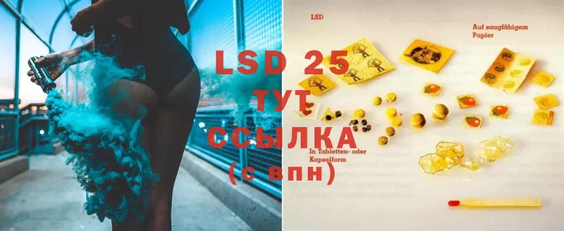 darknet какой сайт  Нефтекумск  Лсд 25 экстази ecstasy  где купить  