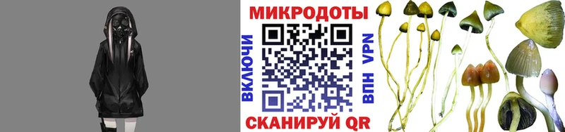 Псилоцибиновые грибы Psilocybe  где купить наркотик  Нефтекумск 