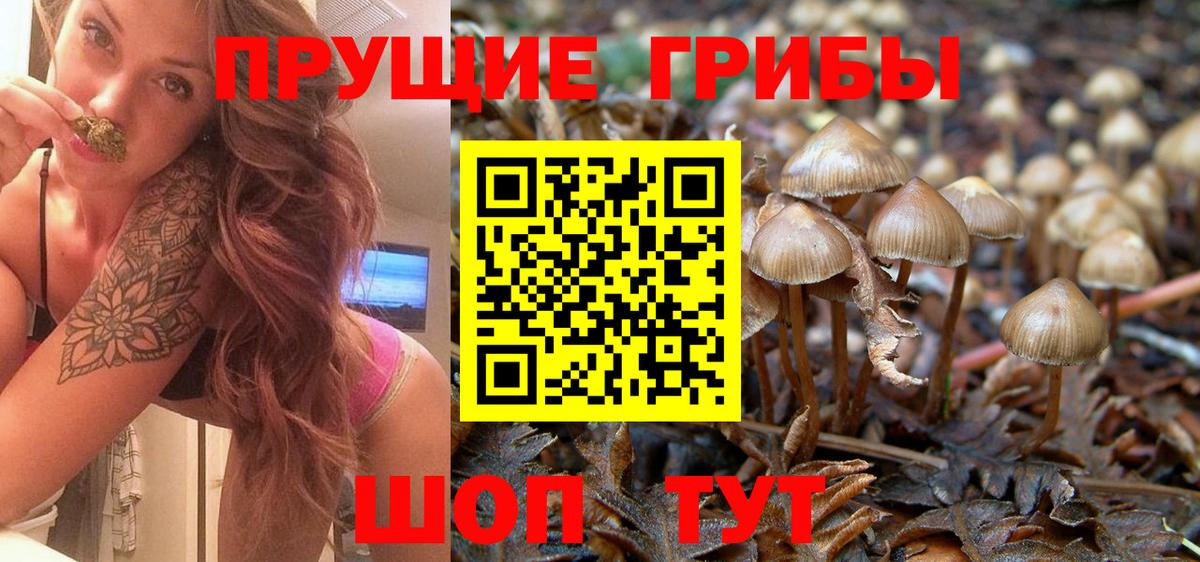 Галлюциногенные грибы Magic Shrooms  Вход с VPN  Псилоцибиновые грибы Psilocybine cubensis  Нефтекумск 