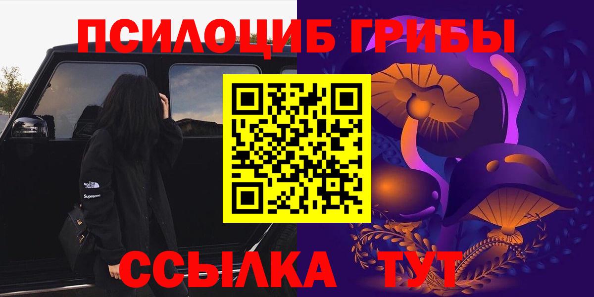 Псилоцибиновые грибы мицелий Нефтекумск