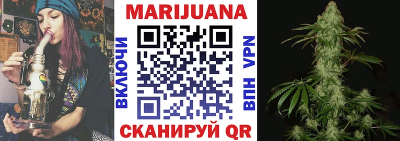 Канабис SATIVA & INDICA  магазин продажи наркотиков  Нефтекумск 