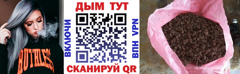 Конопля сатива Нефтекумск